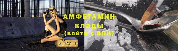 прущие грибы Мегион