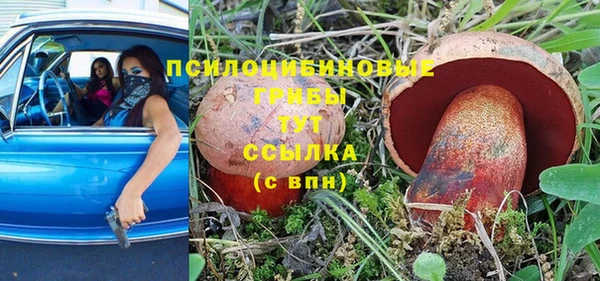 винт Медвежьегорск